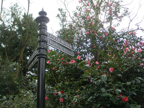 a street sign pointing to a rose bush